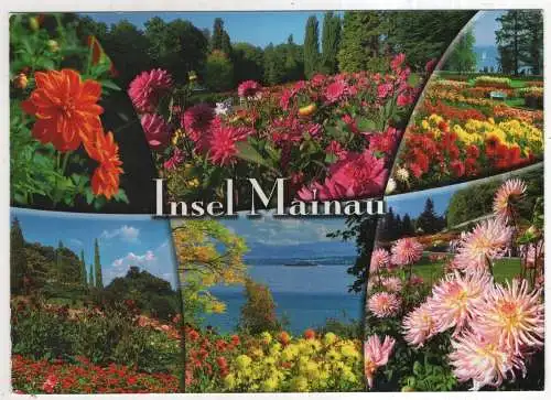 [Ansichtskarte] GERMANY - Insel Mainau. 