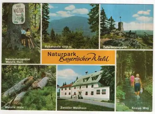 [Ansichtskarte] GERMANY - Naturpark Bayerischer Wald. 