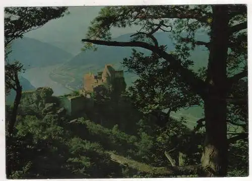 [Ansichtskarte] AUSTRIA -  Ruine Aggstein - Wachau. 