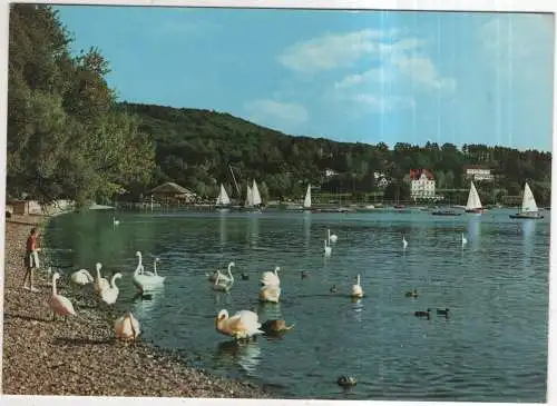 [Ansichtskarte] GERMANY - Hersching am Ammersee - Blick vom Dampfersteg. 