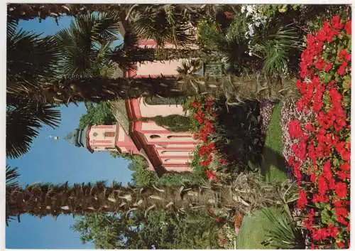 [Ansichtskarte] GERMANY - Insel Mainau im Bodensee - Schloßterrasse mit Kirche und Hanfpalmen. 