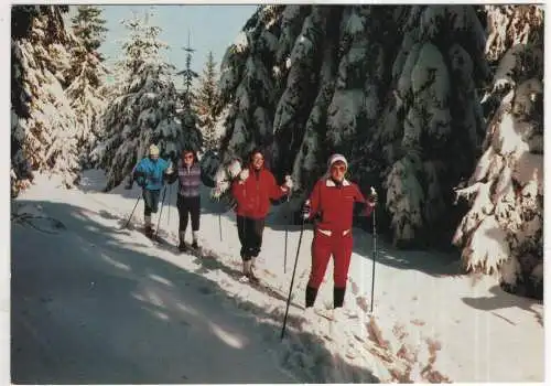 [Ansichtskarte] GERMANY - Warmensteinach im Fichtelgebirge. 