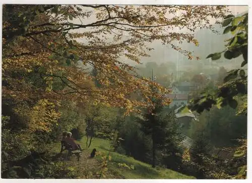 [Ansichtskarte] GERMANY - Warmensteinach im Fichtelgebirge. 