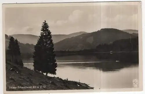 [Ansichtskarte] GERMANY - Titisee - Schwarzwald. 