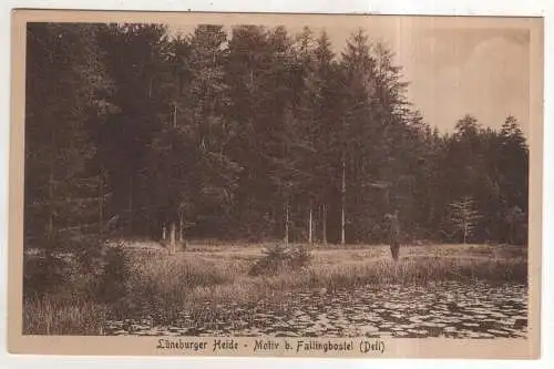 [Ansichtskarte] GERMANY - Lüneburger Heide - Motiv b. Fallingbostel. 