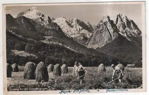 [Ansichtskarte] GERMANY - Erntetag an der Zugspitzgruppe. 