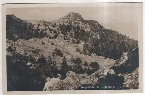 [Ansichtskarte] GERMANY - Bayr. Wald - Arber-Gipfel. 