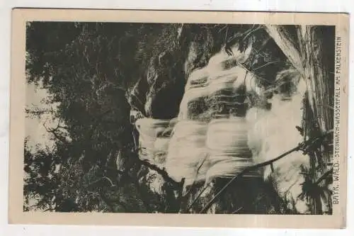 [Ansichtskarte] GERMANY - Bayr. Wald - Steinbach-Wasserfall am Falkenstein. 