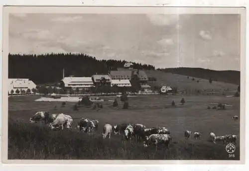 [Ansichtskarte] GERMANY - Feldberg / Schwarzwald - Hotel Feldbergerhof. 