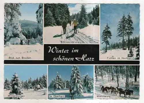 [Ansichtskarte] GERMANY - Winter - Harz. 