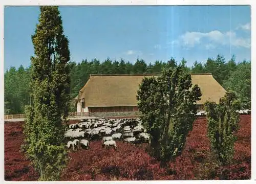 [Ansichtskarte] GERMANY - Naturschutzpark Lüneburger Heide - Schafstall. 