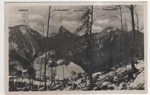 [Ansichtskarte] GERMANY - Grüneck - Leonhardstein - Buchstein - Filzenkogel. 