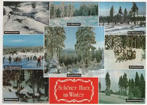 [Ansichtskarte] GERMANY - Harz im Winter. 