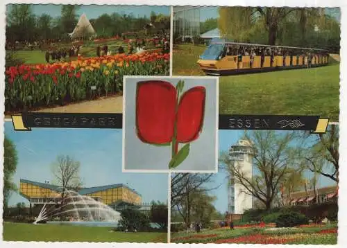 [Ansichtskarte] GERMANY - Essen - Grugapark. 