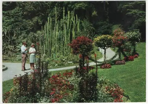 [Ansichtskarte] GERMANY - Überlingen am Bodensee - Stadtgarten m. Kakteengruppen. 