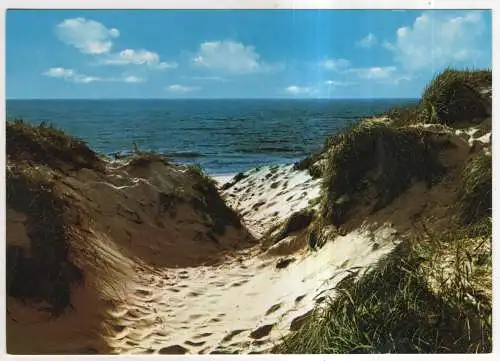 [Ansichtskarte] GERMANY - Dünen und Meer. 