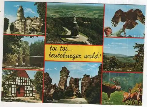 [Ansichtskarte] GERMANY - Teutoburger Wald. 