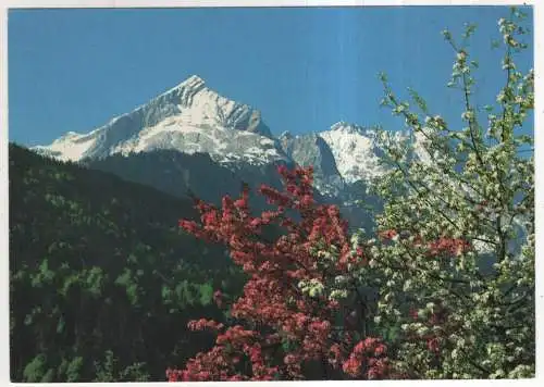 [Ansichtskarte] GERMANY - Am Fuße der Alpspitze im Wettersteingebirge / Bayern. 