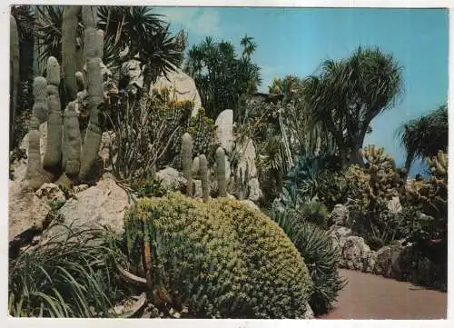 [Ansichtskarte] MONACO - Monte-Carlo - Le Jardin Exotique. 