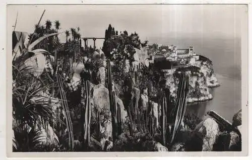 [Ansichtskarte] MONACO - Le Rocher de Monaco vu des Jardins exotiques. 