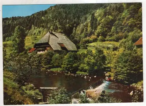 [Ansichtskarte] GERMANY - Orginal Schwarzwälder Bauernhaus. 