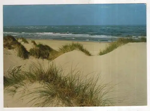 [Ansichtskarte] GERMANY -  Dünen und Meer. 