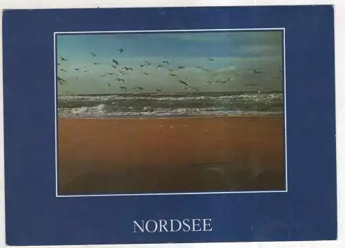 [Ansichtskarte] GERMANY -  Nordsee. 