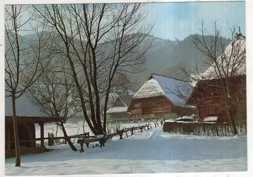 [Ansichtskarte] GERMANY - Schwarzwaldwinter. 