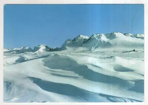 [Ansichtskarte] GERMANY - Sylt - verschneite Dünen. 