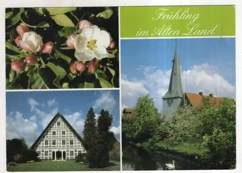 [Ansichtskarte] GERMANY -Frühling im Alten Land. 