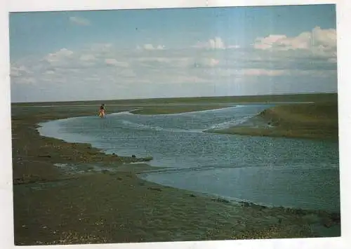 [Ansichtskarte] GERMANY - Wattenmeer vor Nordstrand im Nationalpark Schleswig-Holsteinisches Wattenmeer. 