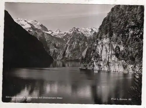 [Ansichtskarte] GERMANY  - Königssee vom Malerwinkel mit Steinernem Meer. 