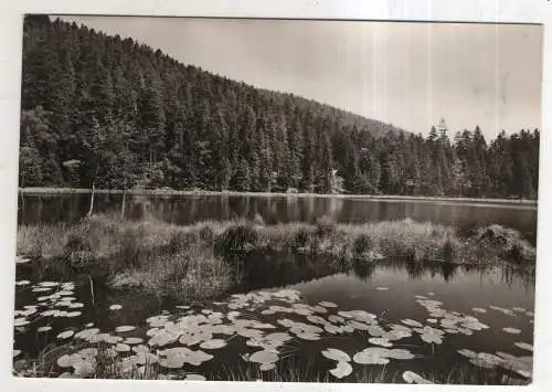 [Ansichtskarte] GERMANY  - Schönmünzach im Murgtal / Schwarzwald - Schurmsee. 