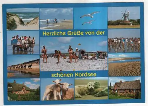 [Ansichtskarte] GERMANY  - Nordsee. 