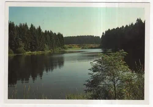 [Ansichtskarte] GERMANY  - Der Prinzen Teich südlich von Clausthal - Harz. 