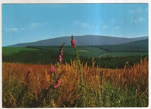 [Ansichtskarte] GERMANY  - Blick zum Brocken - Harz. 