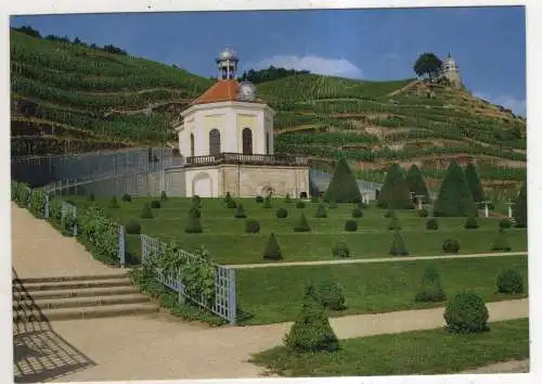 [Ansichtskarte] GERMANY  - Radebeul - Weingut Schloss  Wackerbarth - Schlossgarten mit Belvedere. 