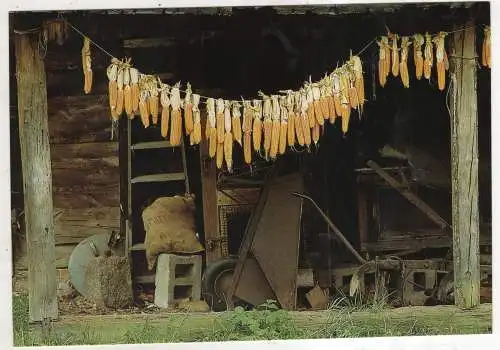 [Ansichtskarte] GERMANY  - Spreewald - Spreewaldhof - Maisvorräte für die Tiere. 