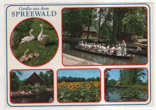 [Ansichtskarte] GERMANY  - Grüße aus dem Spreewald. 