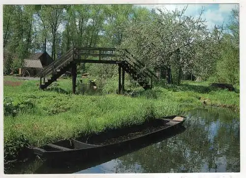 [Ansichtskarte] GERMANY  - Spreewald - Landschaft bei Lehde. 