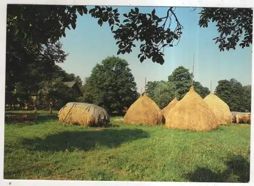 [Ansichtskarte] GERMANY  - Heuschober im Spreewald. 