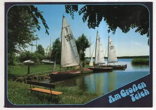 [Ansichtskarte] GERMANY  - Torgau - Am Großen Teich. 