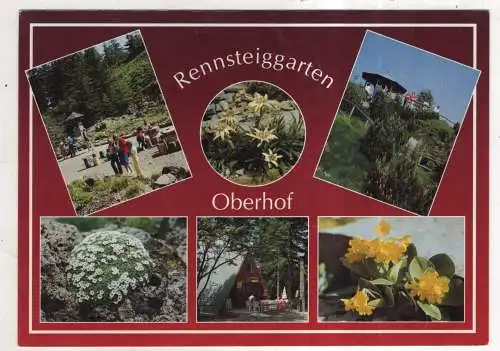 [Ansichtskarte] GERMANY  - Oberhof - Rennsteiggarten. 