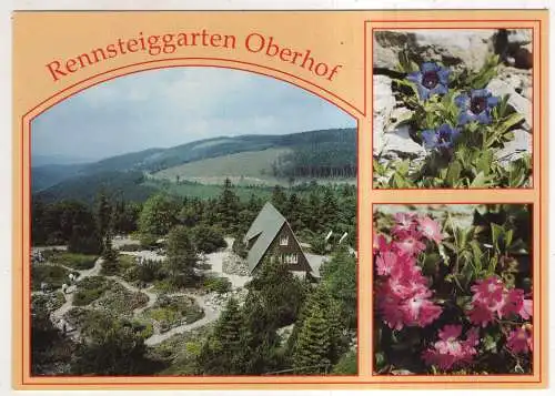 [Ansichtskarte] GERMANY  - Oberhof - Rennsteiggarten. 