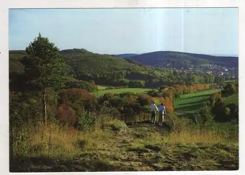 [Ansichtskarte] GERMANY  - Bad Liebenstein in Thüringen - Blick vom Morgentor auf Bad Liebenstein. 