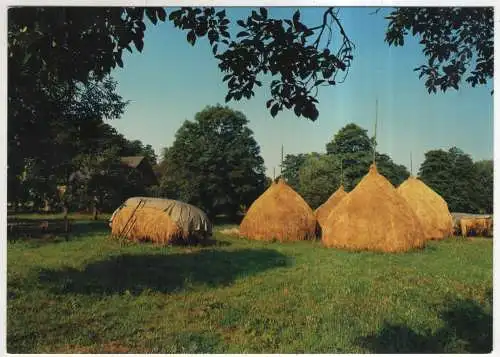 [Ansichtskarte] GERMANY  -  Heuschober im Spreewald. 