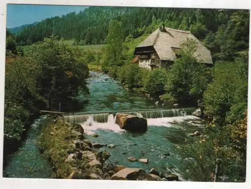 [Ansichtskarte] GERMANY  - Schwarzwald Idyll an der Gutach. 