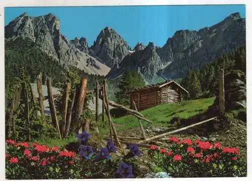 [Ansichtskarte] AUSTRIA - Grüße aus den Bergen. 