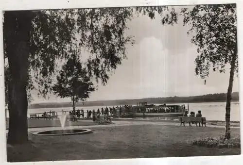 [Ansichtskarte] GERMANY - Altenhof-Werbellinsee - Promenade. 