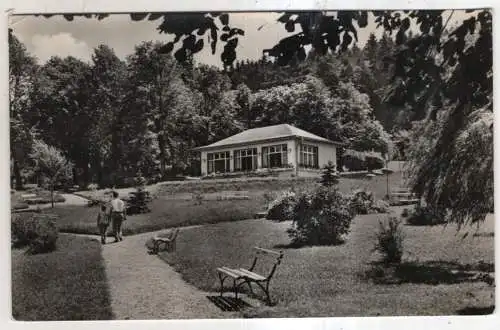 [Ansichtskarte] GERMANY -  Tabarz / Thür. Wald - Ortsteil Cabarz - Kurpark Winkelhof. 